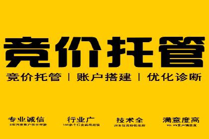 行业首例：SEM竞价优化案例的成效与启示